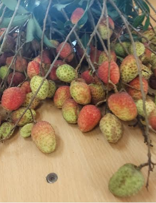 Vải 3