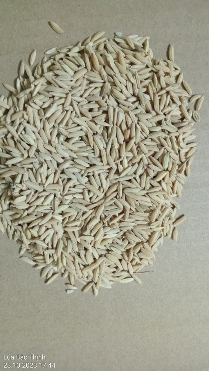 Bắc Thịnh 2