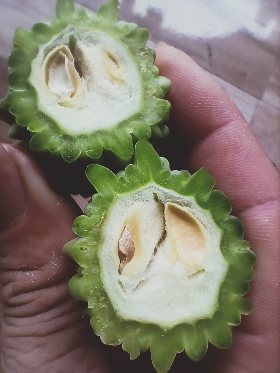 Mướp đắng